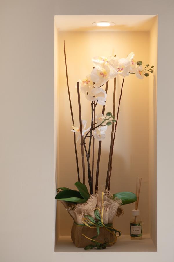 Apartment Scevola Tourist Accomodation